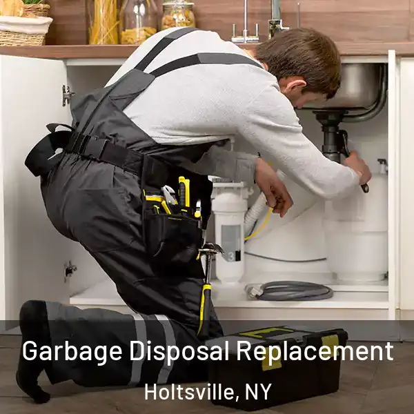  Garbage Disposal Replacement Holtsville, NY