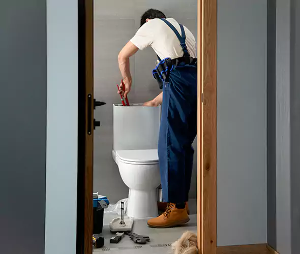Professional Plumbers for Toilet Bowl Replacement in Holtsville, NY: Schedule Affordable Toilet Replacement Services With Us