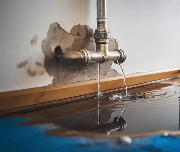 Professional Water Damage Restoration Experts in Holtsville, NY — Fast, Reliable & Certified