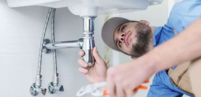 Leak Detection in Holtsville