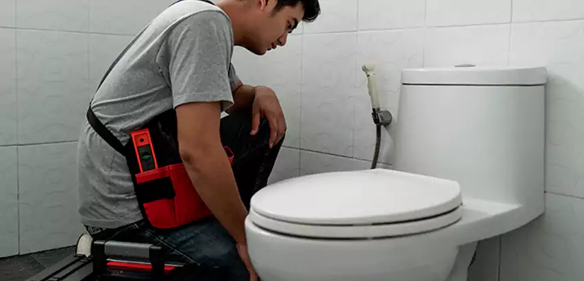 Toilet Repair in Holtsville