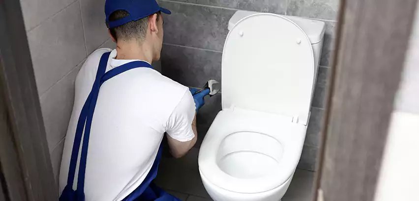 Toilet Lid Replacement in Holtsville