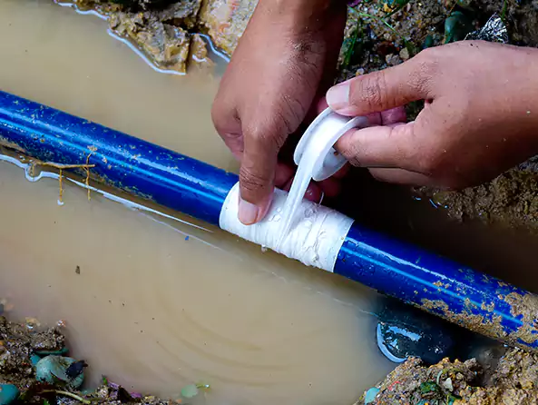  Why Choose Holtsville Plumbing for Leak Detection in Holtsville, NY?]