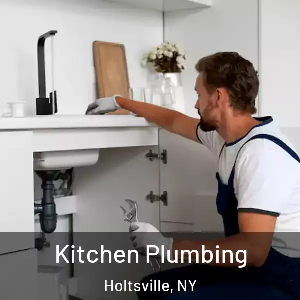  Kitchen Plumbing Holtsville, NY