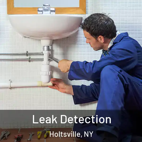  Leak Detection Holtsville, NY