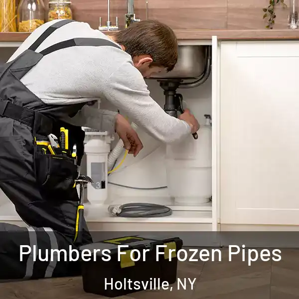  Plumbers For Frozen Pipes Holtsville, NY