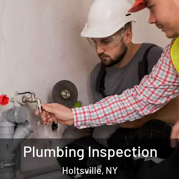  Plumbing Inspection Holtsville, NY