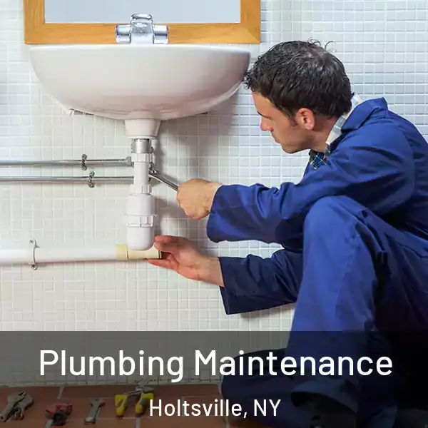  Plumbing Maintenance Holtsville, NY