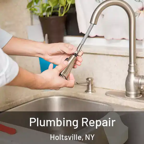  Plumbing Repair Holtsville, NY