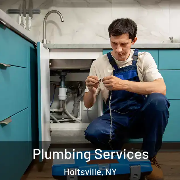 Plumbing Services Holtsville, NY