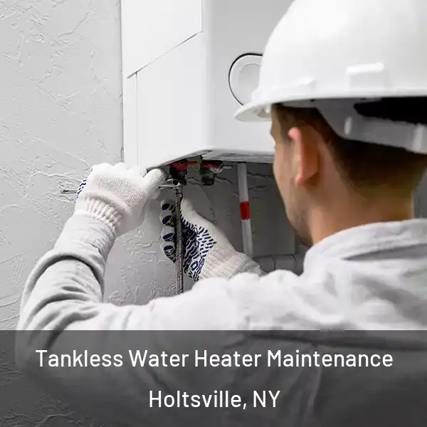  Tankless Water Heater Maintenance Holtsville, NY