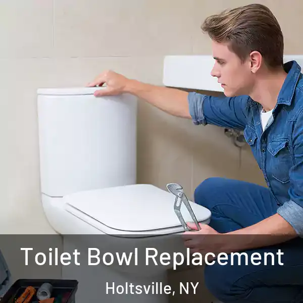  Toilet Bowl Replacement Holtsville, NY