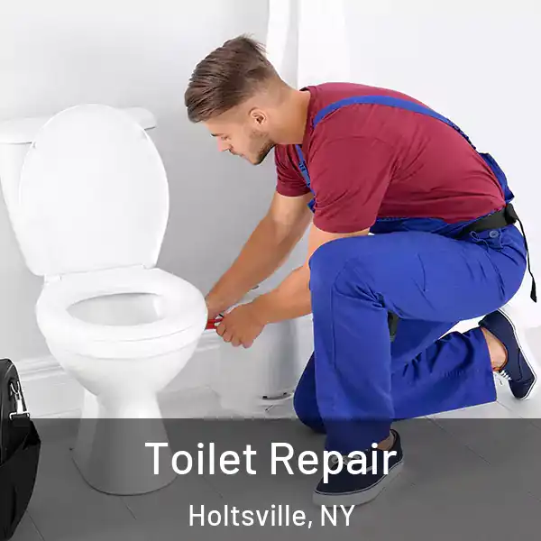  Toilet Repair Holtsville, NY