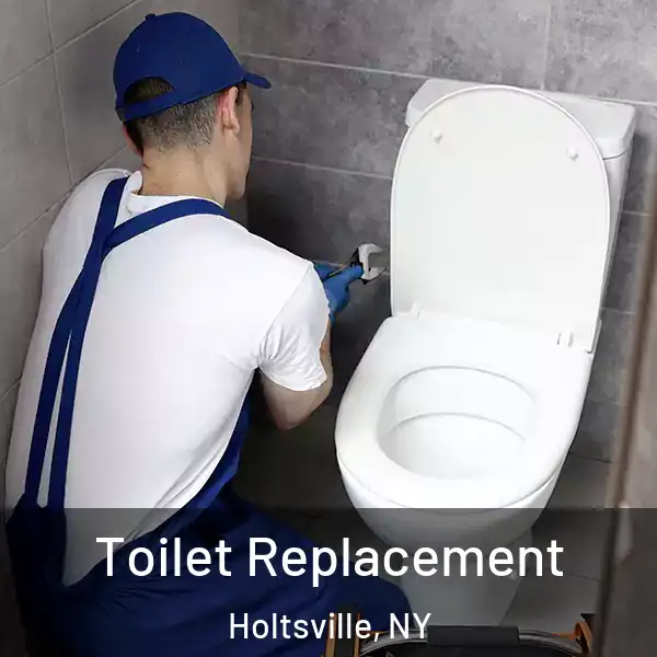  Toilet Replacement Holtsville, NY