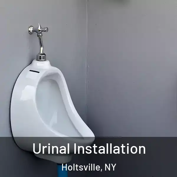  Urinal Installation Holtsville, NY
