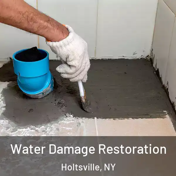  Water Damage Restoration Holtsville, NY