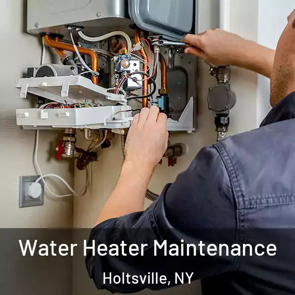  Water Heater Maintenance Holtsville, NY