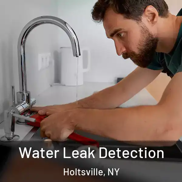  Water Leak Detection Holtsville, NY